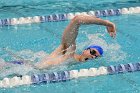 Swimming & Diving vs RWU  Swimming & Diving vs Roger Williams University. - Photo by Keith Nordstrom : Wheaton, Swimming